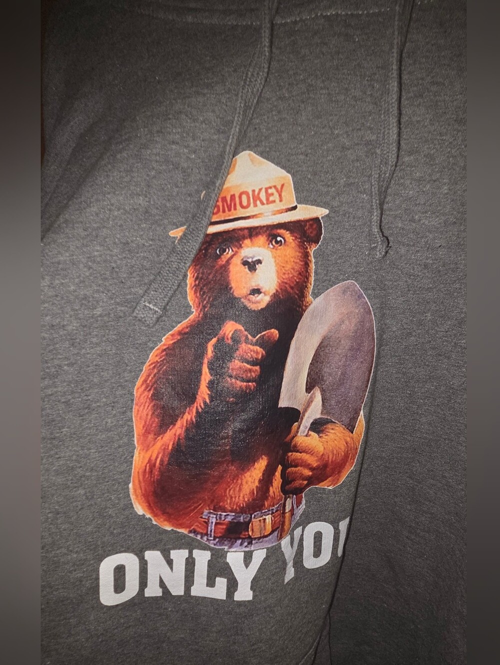 Smokey Bear Only You Hoodie